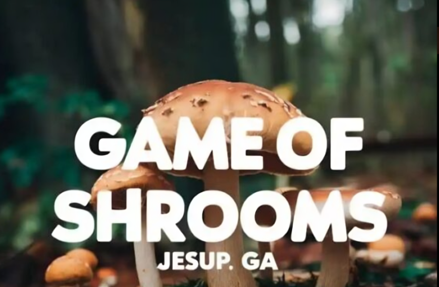 game of shrooms jesup ga